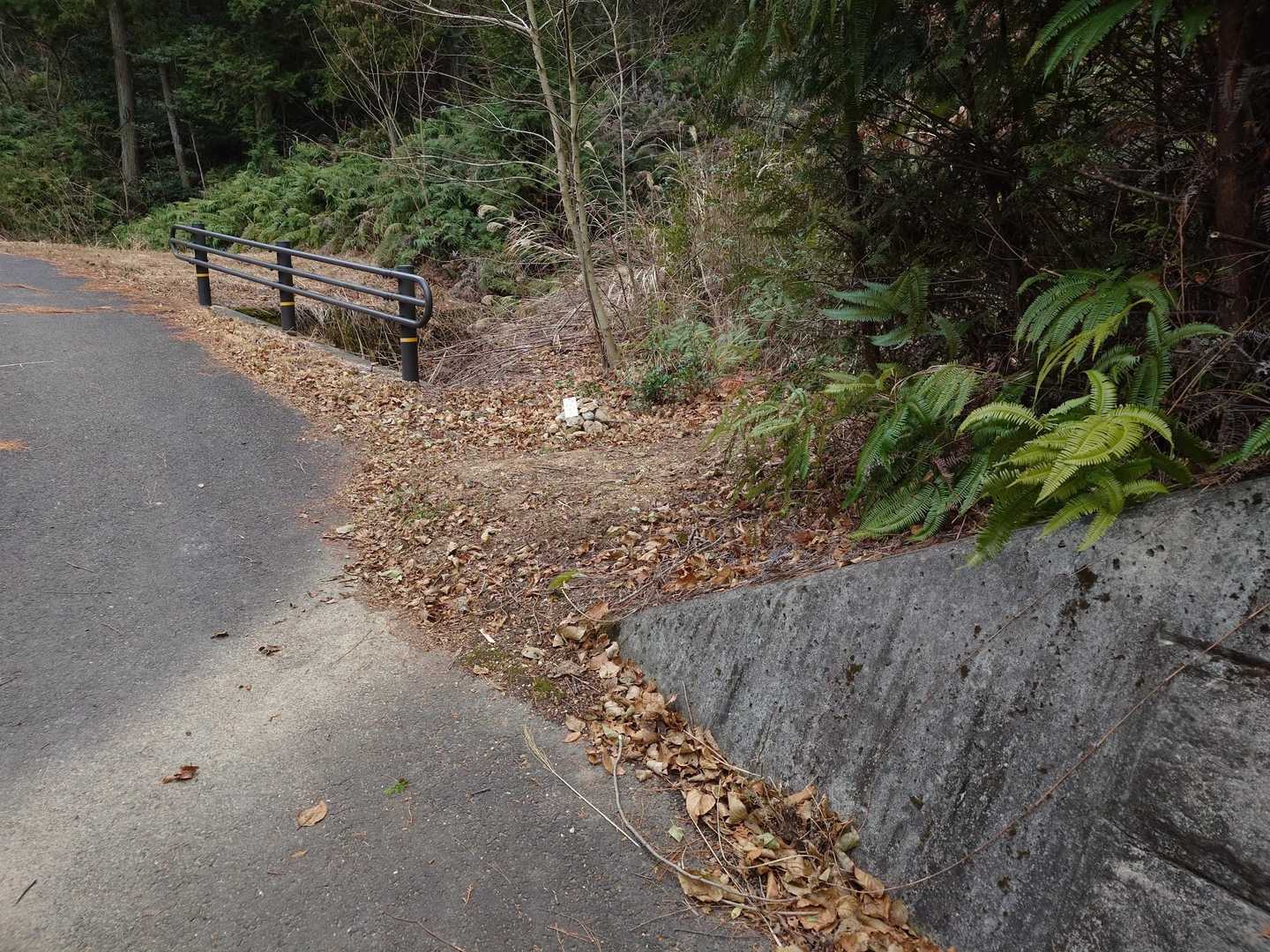 登りはじめて3分くらいで〈おんびき岩〉分岐