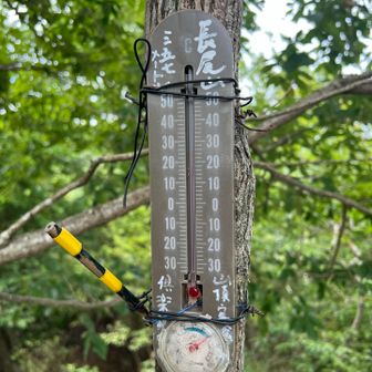 気温は25度
