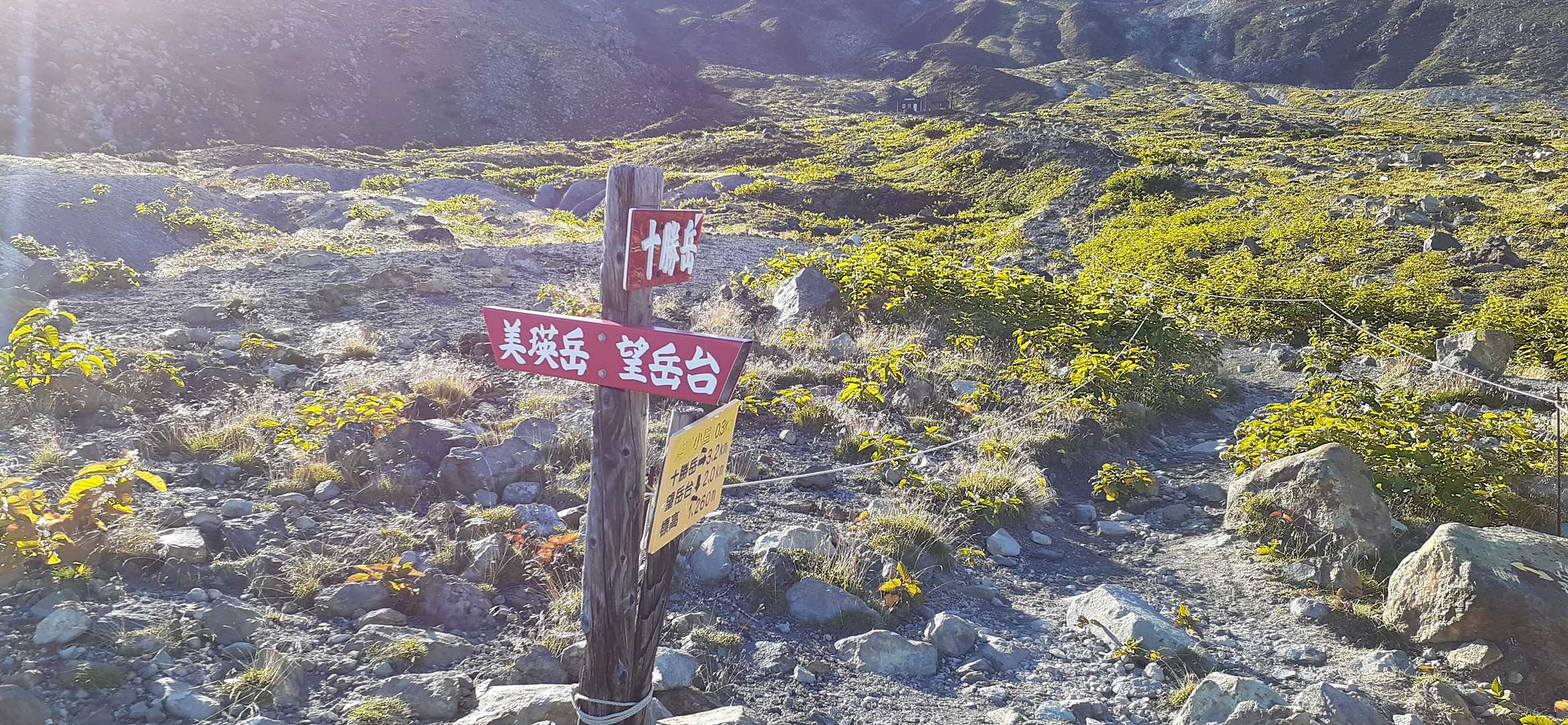 望岳台登山口-美瑛岳 往復コースの写真