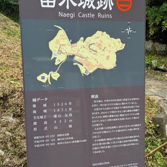巨岩🪨を利用して懸造
2026年に築城500年を迎えるらしいです。