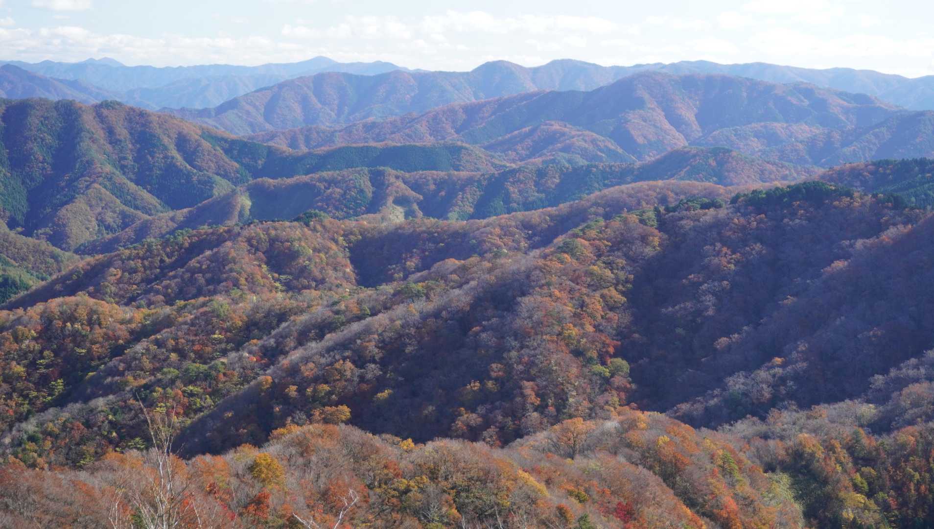 莇ヶ岳-弟見山 周回コースの写真