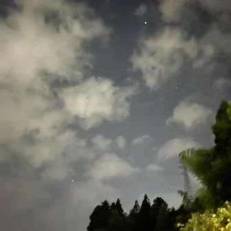 まだ、雨は降ってない