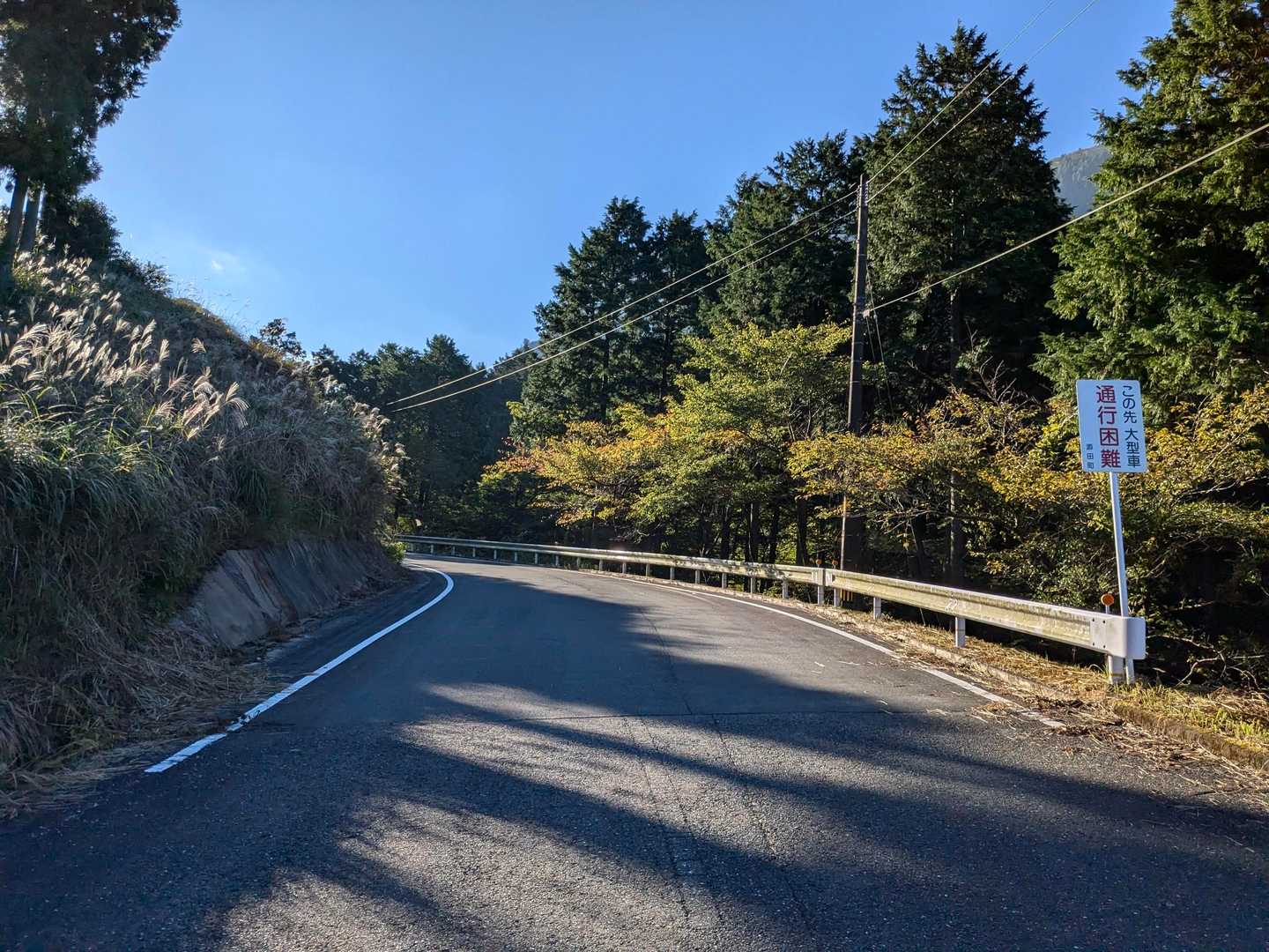 本当は7:30に登り始める予定でしたが、寝坊+ルートミスで約50分遅れてスタート🥱
8時を回っているけれど気温は10度台前半🥶