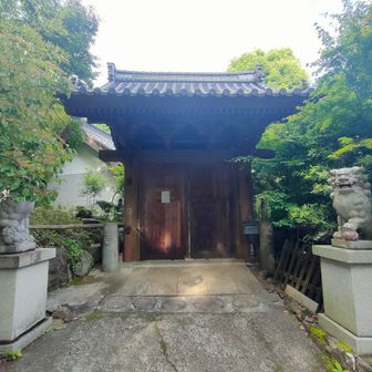 気になる和田美術館（裏口）