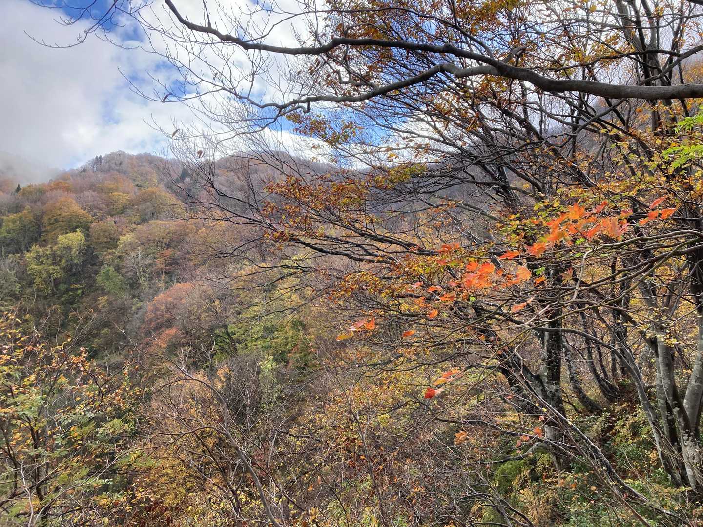 剣龍峡登山口-焼山-コマタ-花ノ木平登山口 縦走コースの写真