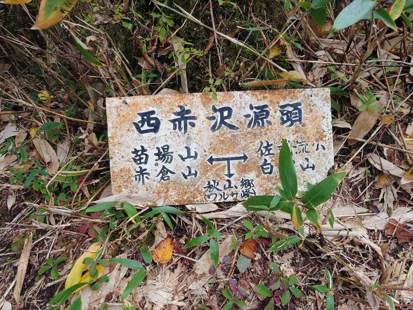 分岐