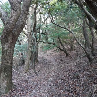 こちらも道はわかりやすかった。