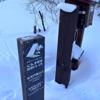 ここから本当のスタート💦
雪道ですからねぇ…😏
往復6時間見ておけば余裕でしょ👍

この時点では更に上の笠ヶ岳まで行く予定です🏔️