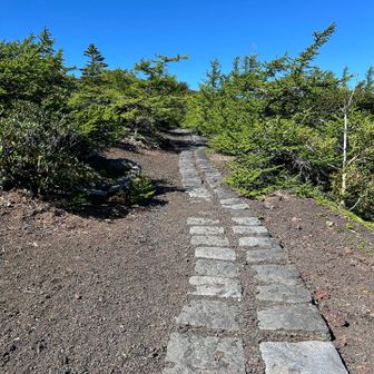 ここからは御庭だと思う
ガラッと雰囲気が変わった
