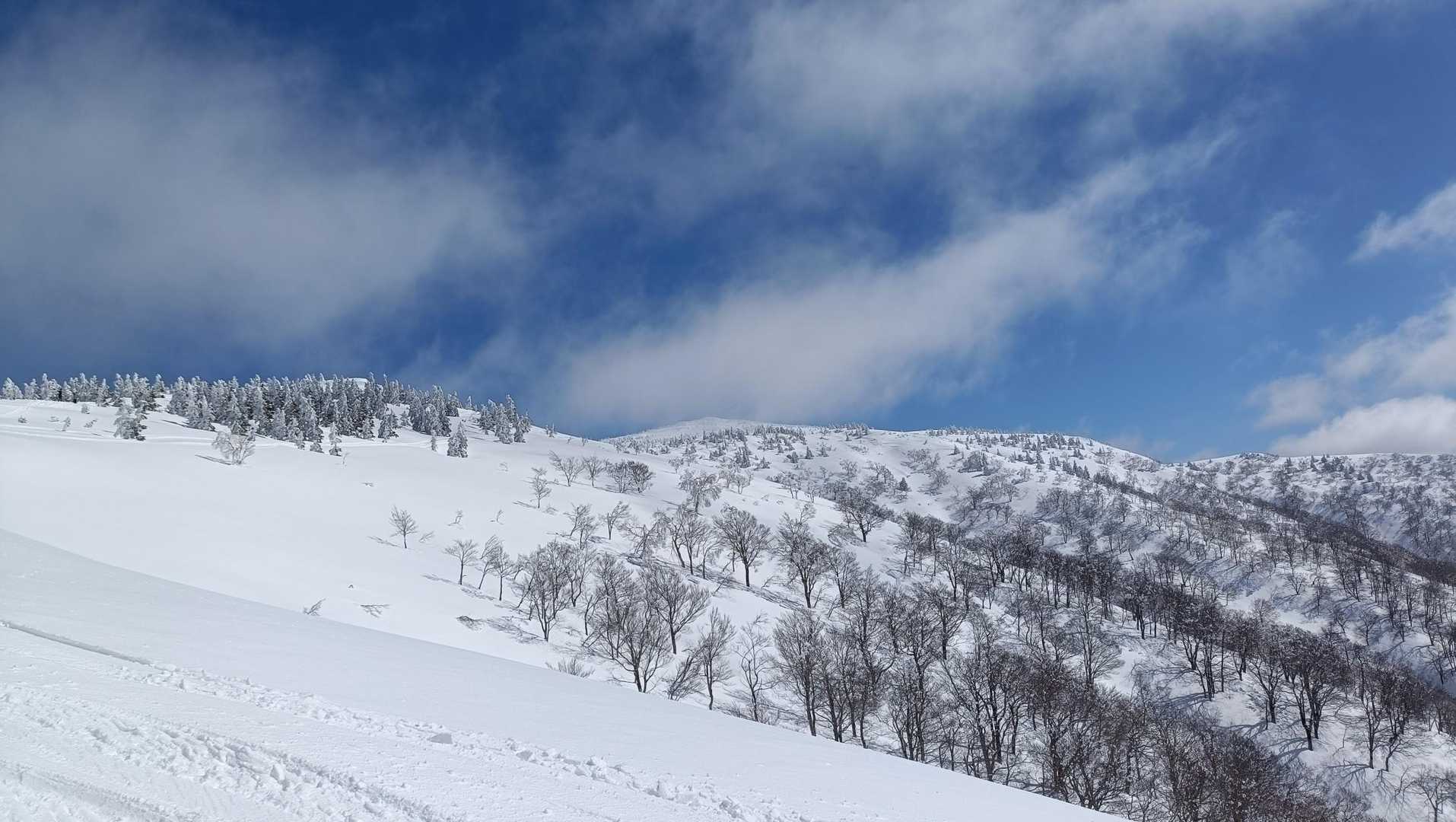 森吉山の山頂が遥か向こうに見える🏔️