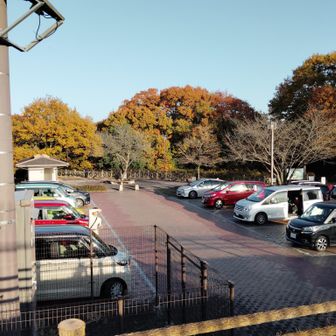 小野洞砂防公園