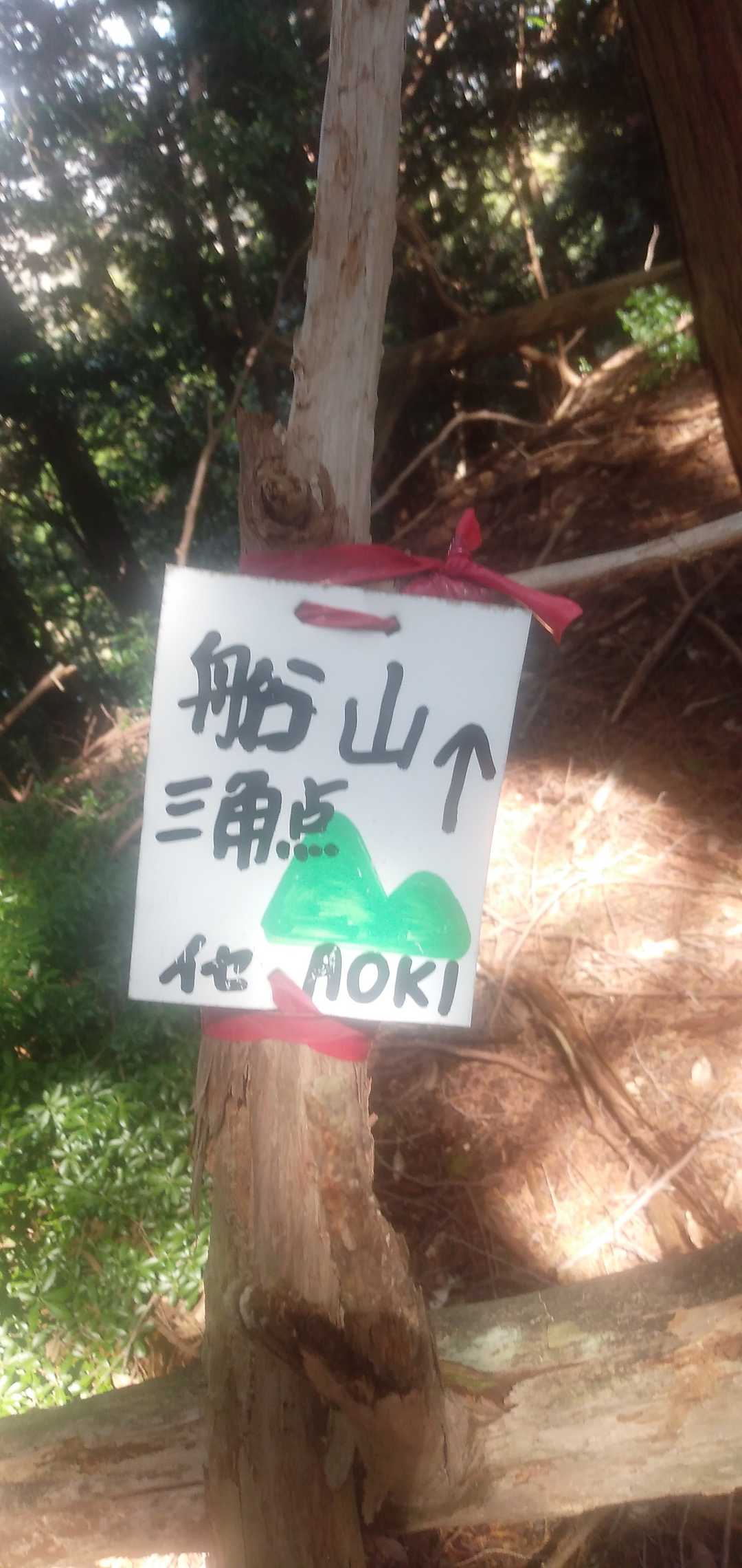 無理やり登ってピークを確認。船山▲。