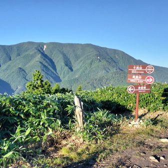 まずは【千両山】登頂。うしろの恵那山がカッコいい！