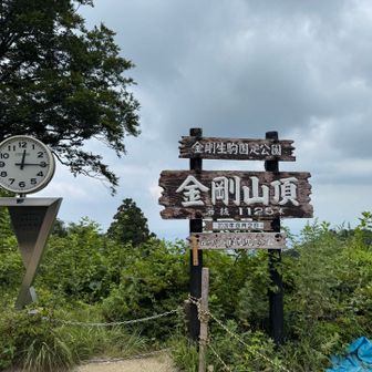 こんにちは金剛山‼️2回目の山頂✌️