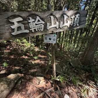 山頂も眺望ありません