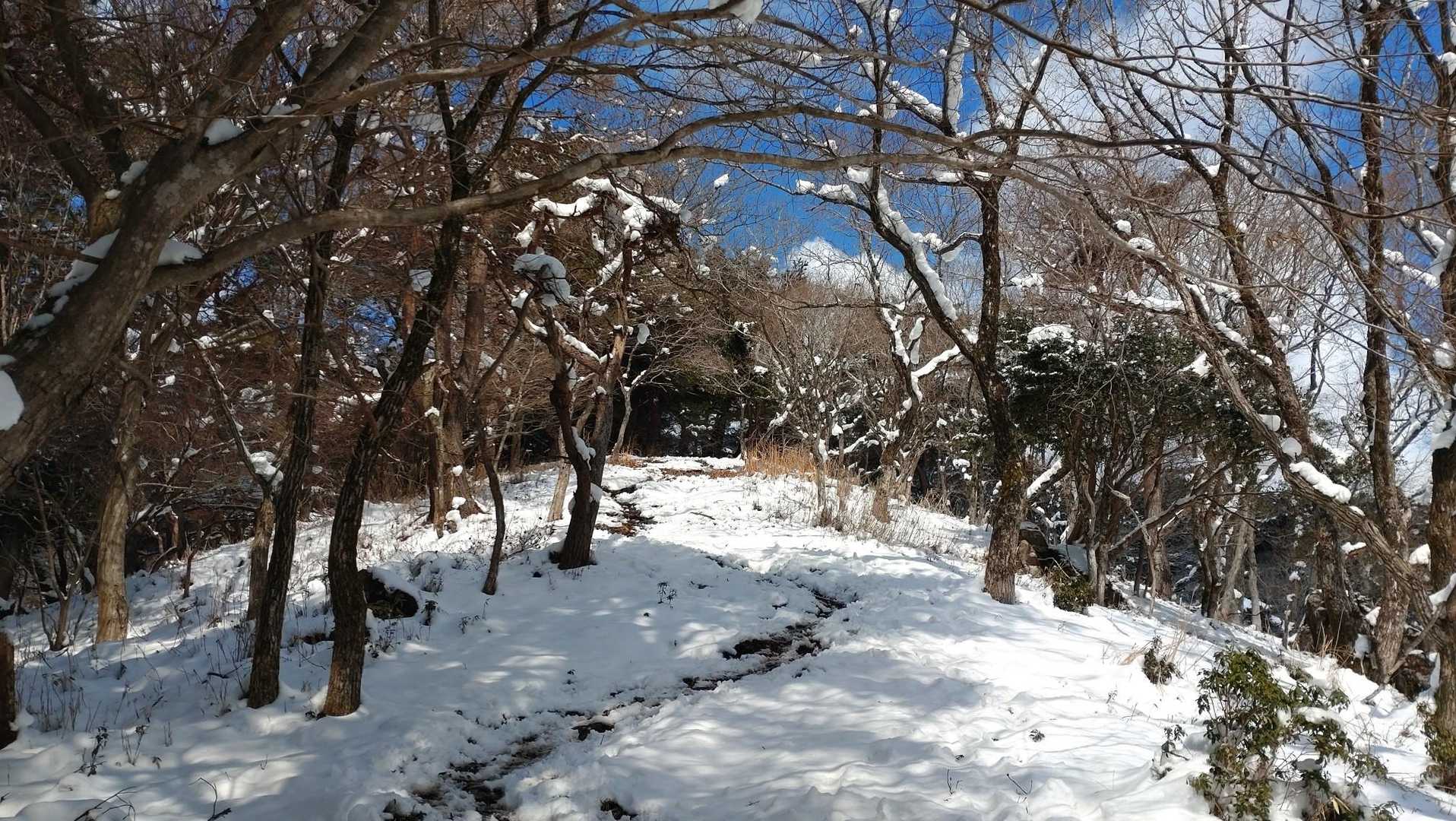 下の方は泥んこツルツル、絶対コケたくない