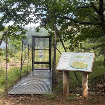 🚁ヘリポート＆🏕️五十人平野営場の入り口には獣避けゲート🦌🧸