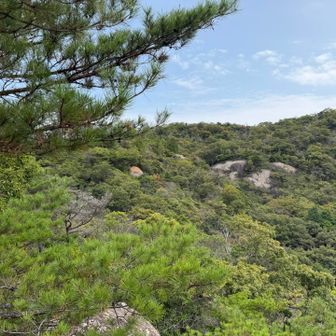 岩場D