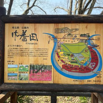 下山後は巾着田へ、駐車場は満車のようでした