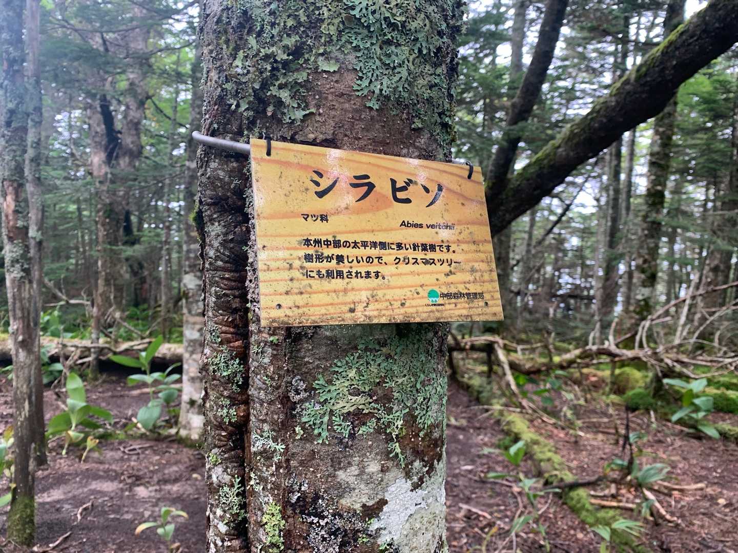 なるほど🧐
