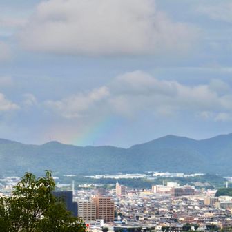                       ブラザー🐈‍⬛
                      「 あ！ 虹🌈だ！ 」

                      ブラザーは、いつもここから
                      御嶽山⛰️を👀✨チェック✅

                      今日は、御嶽山の場所に
                      虹🌈が❗️ 👏
