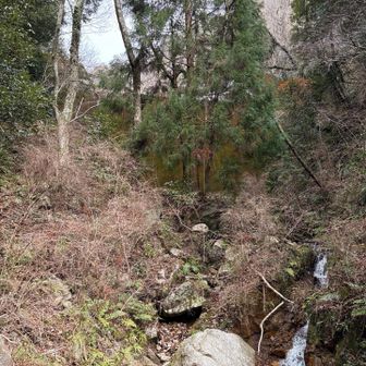 六甲山・長峰山・摩耶山 薮深い
向こうに紅葉谷第四堰堤