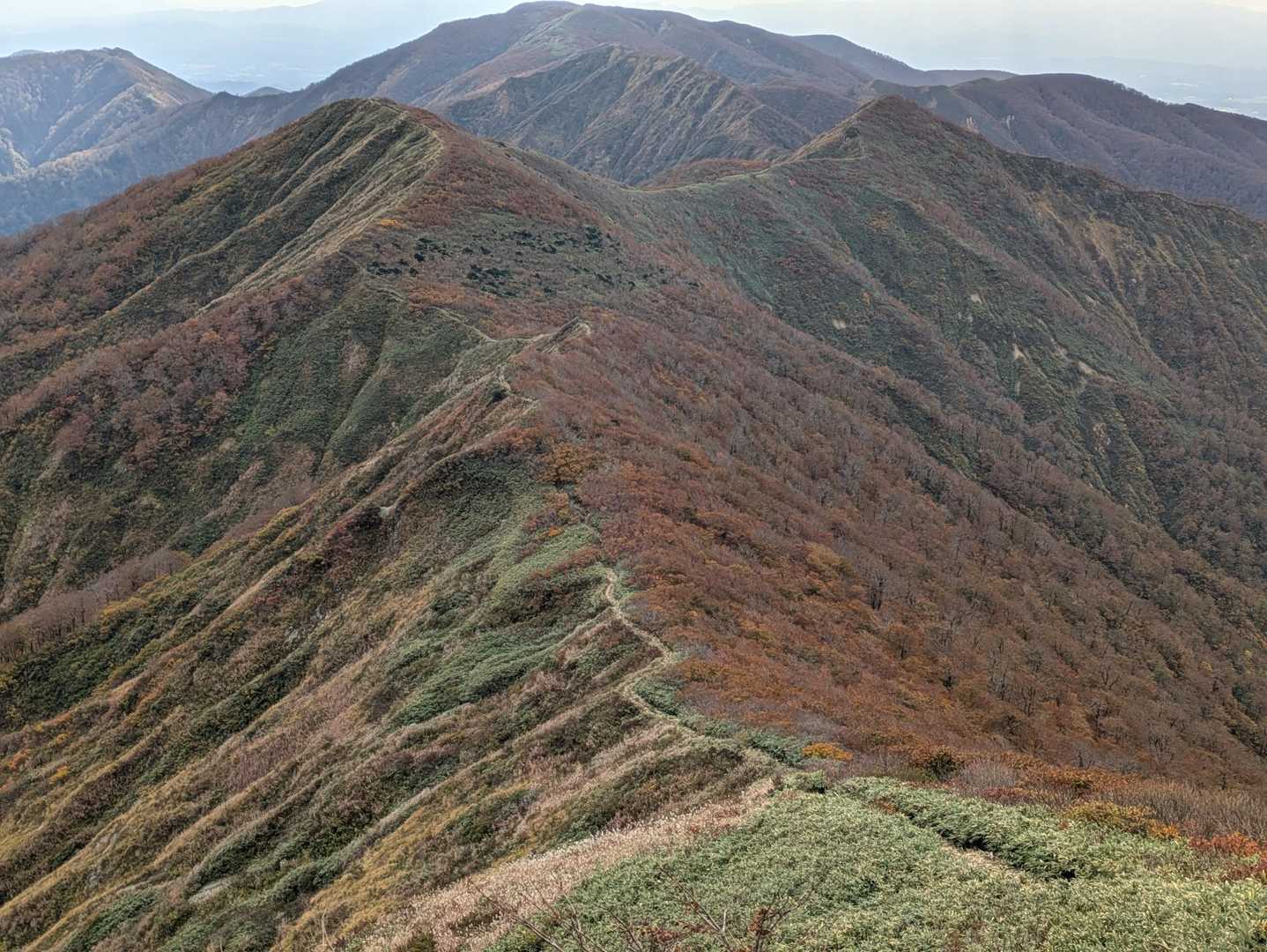 登山道が見えるとどこまでも歩いて行きたくなりますね😆