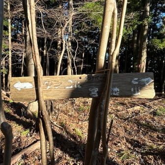 手書きでタコチバ山と書かれてる