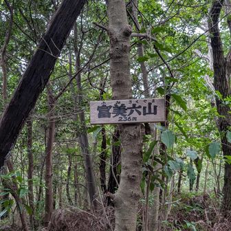 富美六(ふみろく)山 236m
