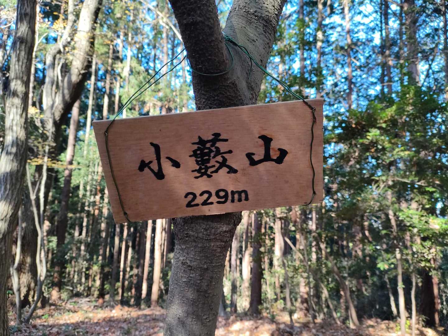 富士山 往復コースの写真