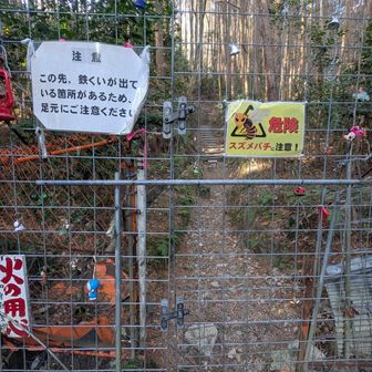 色んなものが飾られています