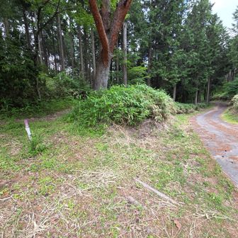 左側行ったら違った
塗装されてる方だった