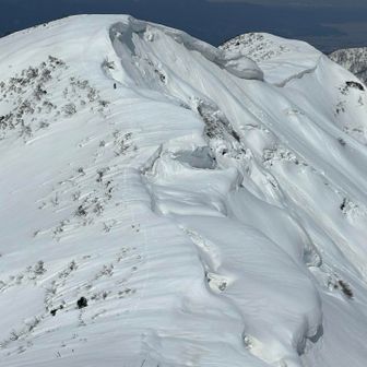 ピーク直前に左に目をやると
芸術のドロっとしたクリーミィー尾根🤤🤤
20分程度なので北峰まで行きたかったが、さすがにお嬢がブチ切れするのでソッと我慢🥲