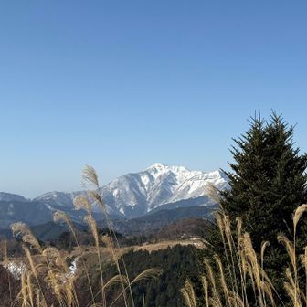 やっと伊吹山に会えました。
近いなぁ。