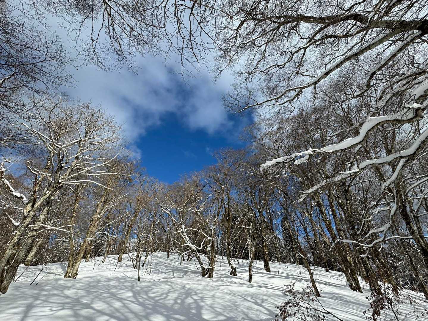 江浪峠-三国平 往復コースの写真