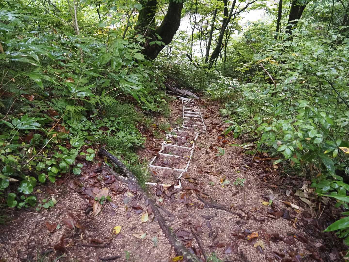 高巻の道