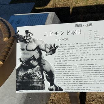 確か...頭突きの威力上げるのに丁髷にフライドチキンの骨が入ってるらしいとか🤣