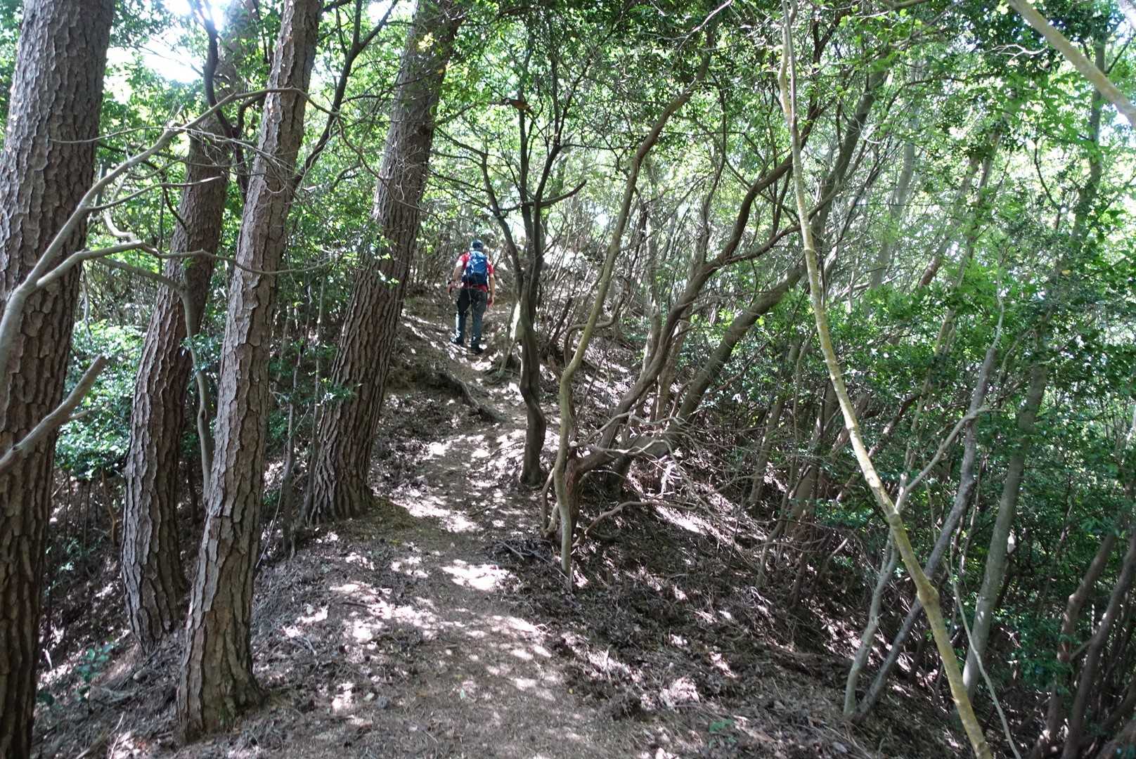 そこそこのガレた道もあり、急坂ありで下ります。