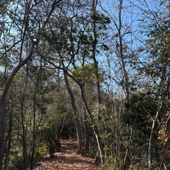 前半は貸切状態