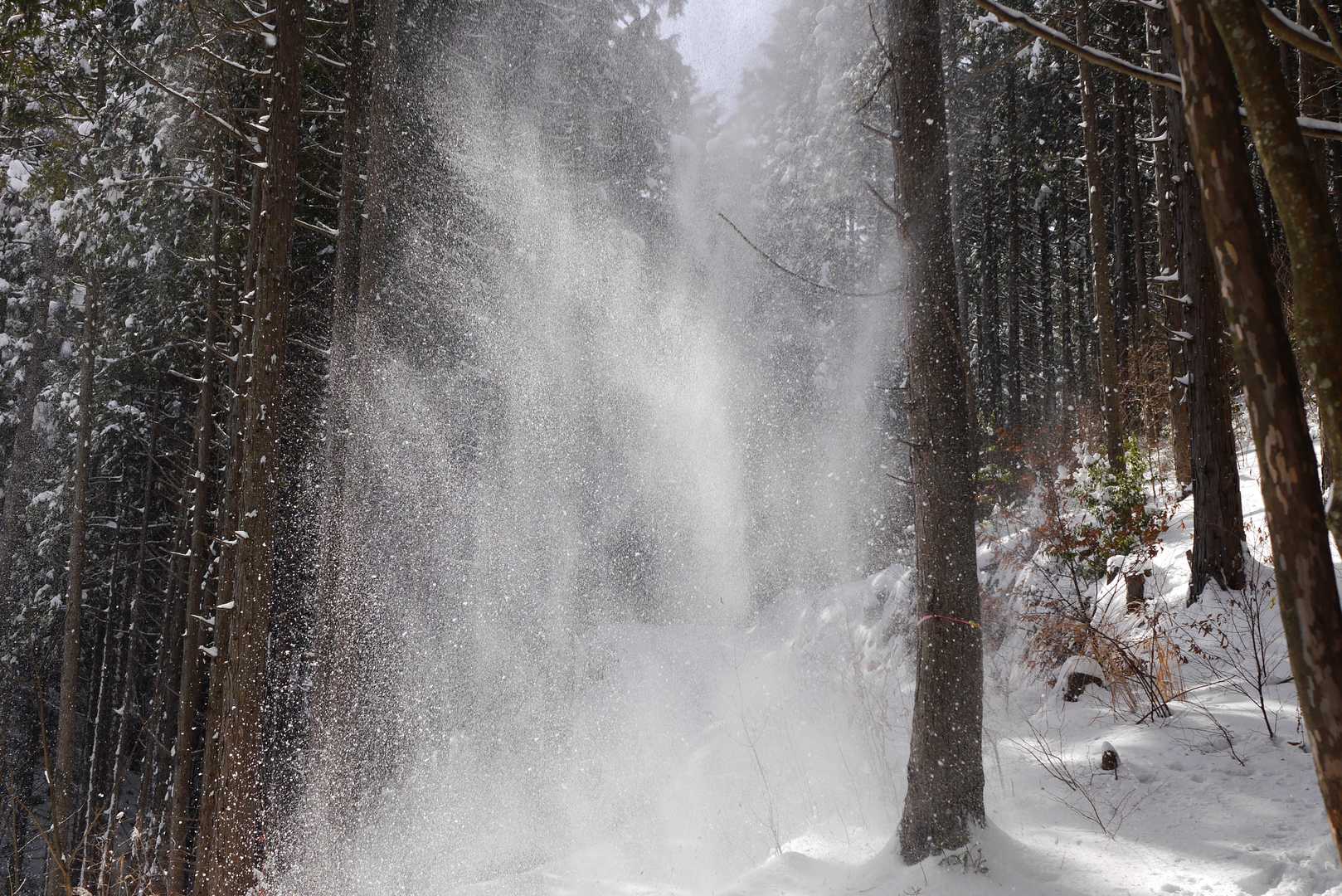 竜王山-竜王山 往復コースの写真