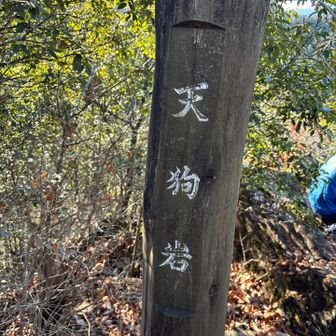 天狗岩山頂看板
本当に天狗がいてもおかしくないような、岩場が素敵な場所でした。