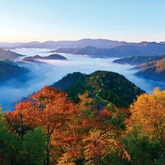 びわこあゆのすけ