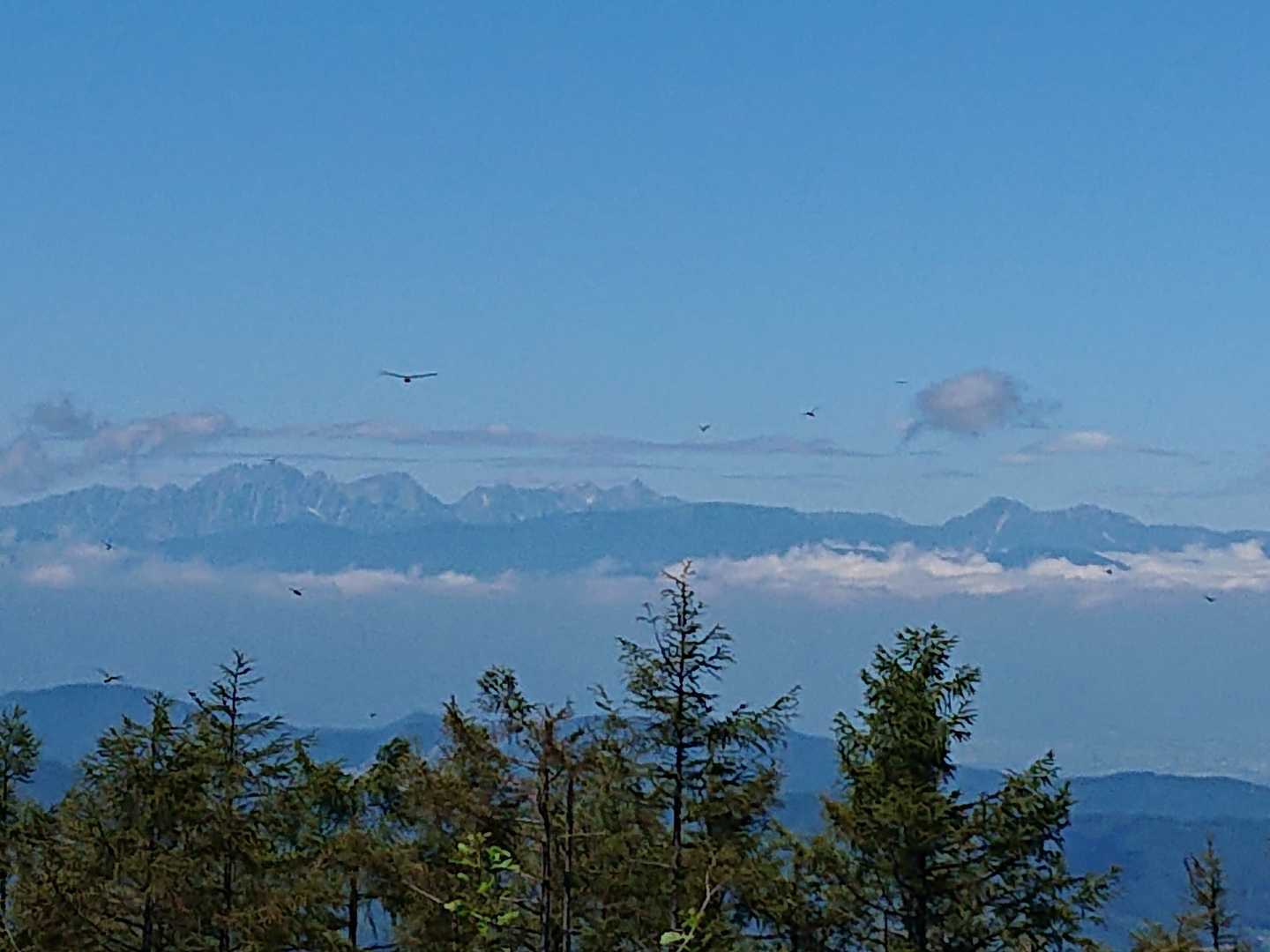 守屋山 往復コースの写真