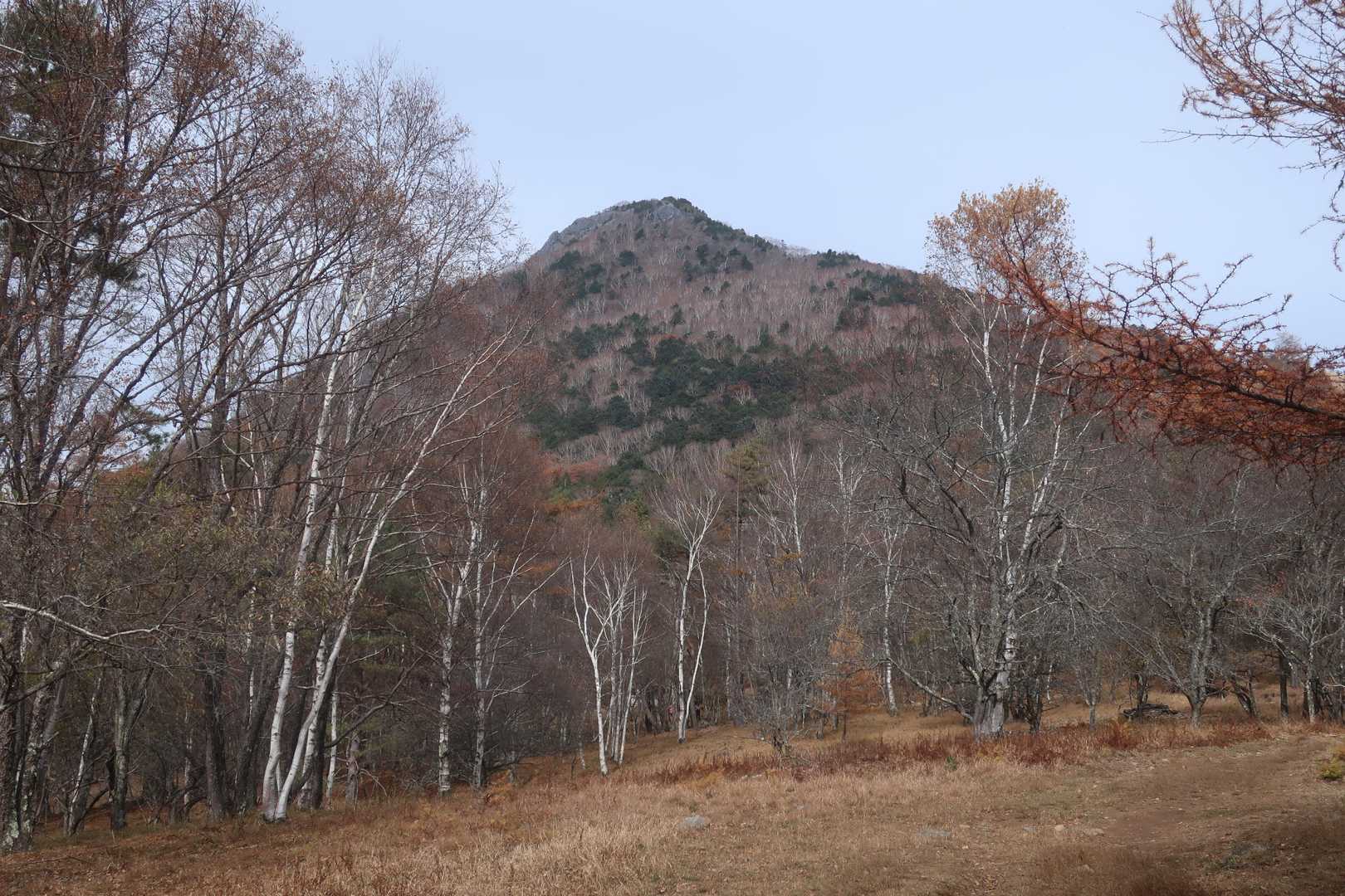 ここで乾徳山見えました。