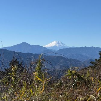 もみじ台からの富士山