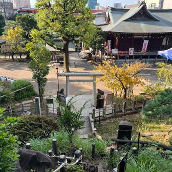 山頂からの眺め