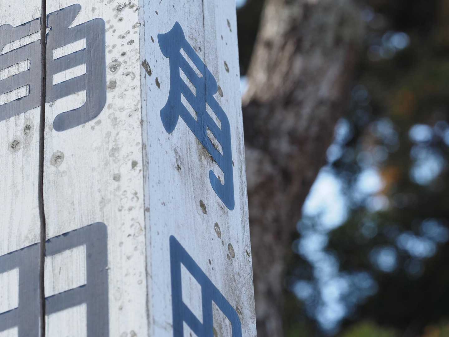 山頂！