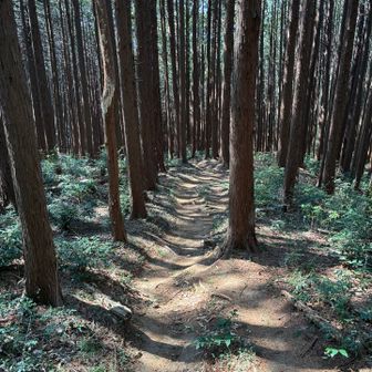 多くのトレランの人とすれ違った