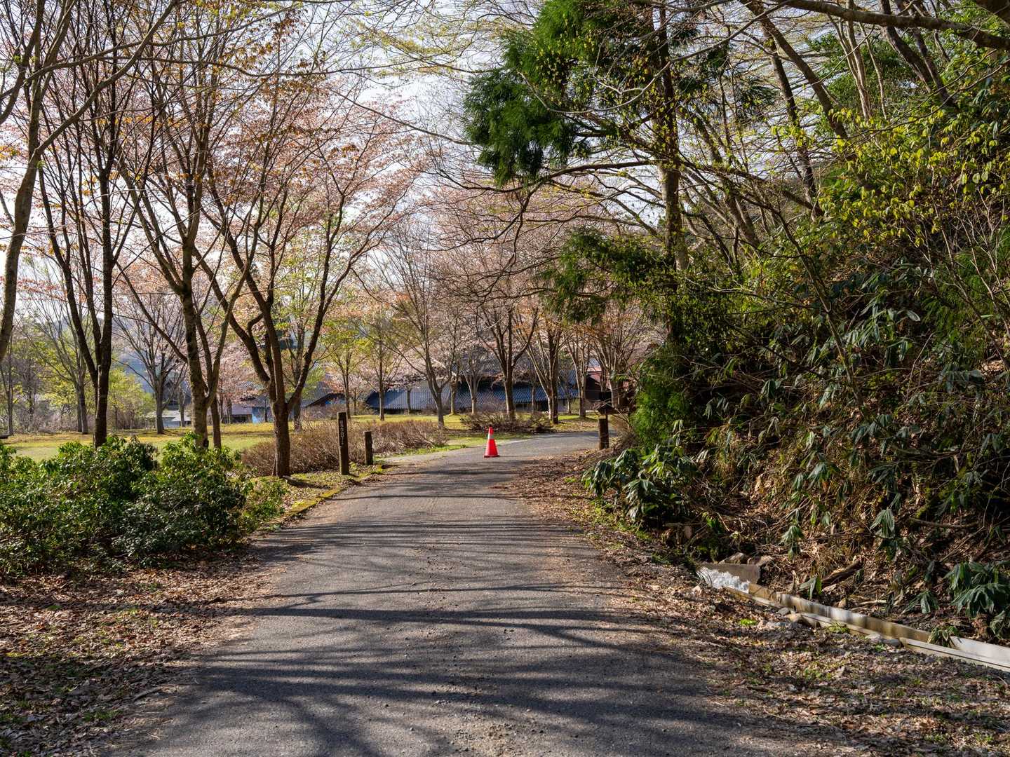 登山口。
広島市内はとっくに散ってしまったというのに、まだ美しく桜が咲いている。

(こういう何気ない景色をサラリとセンス良く撮れない時点で才能がない。)