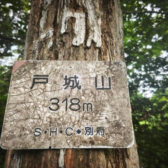 戸城山▲318m